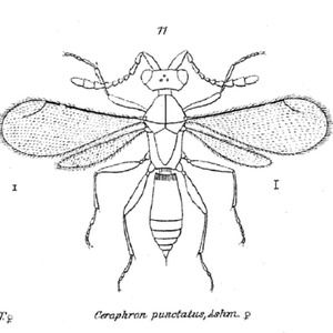 Meet your Posher, Jonah
